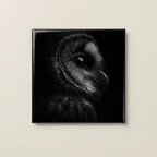 Elegant Black and White Owl Magnets