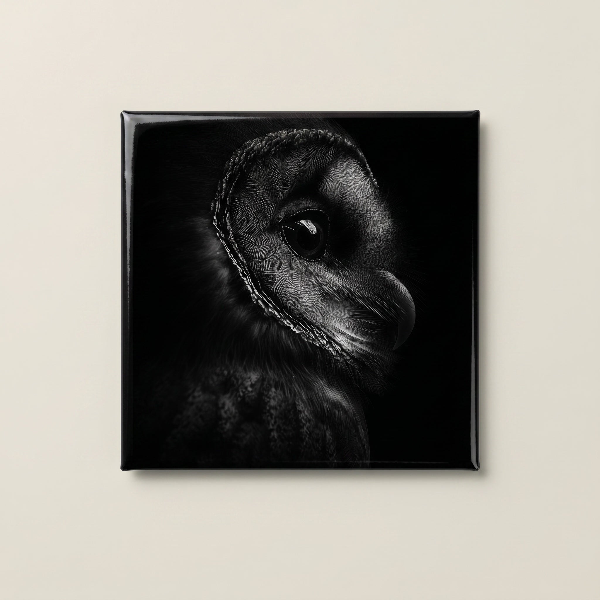 Elegant Black and White Owl Magnets