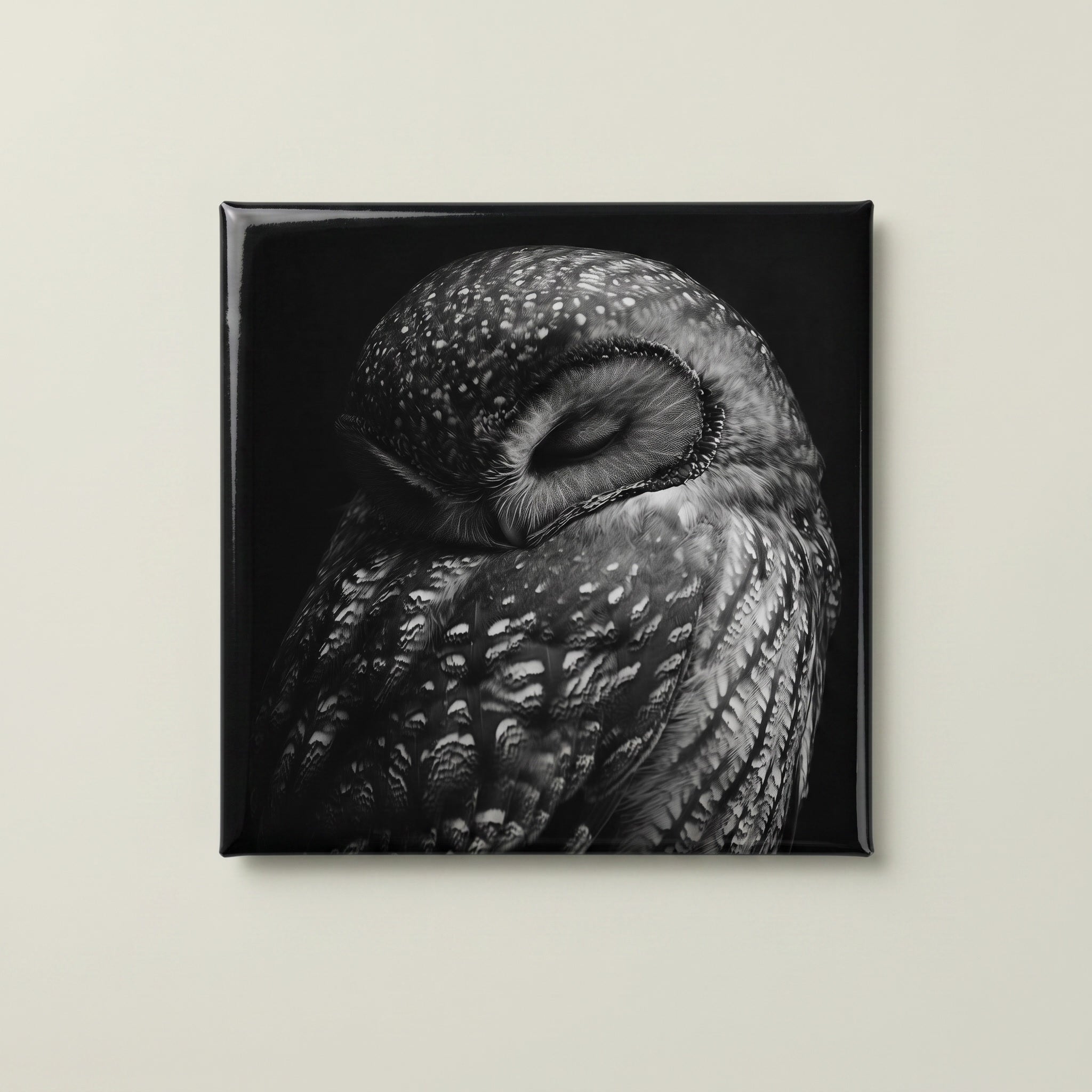 Elegant Black and White Owl Magnets