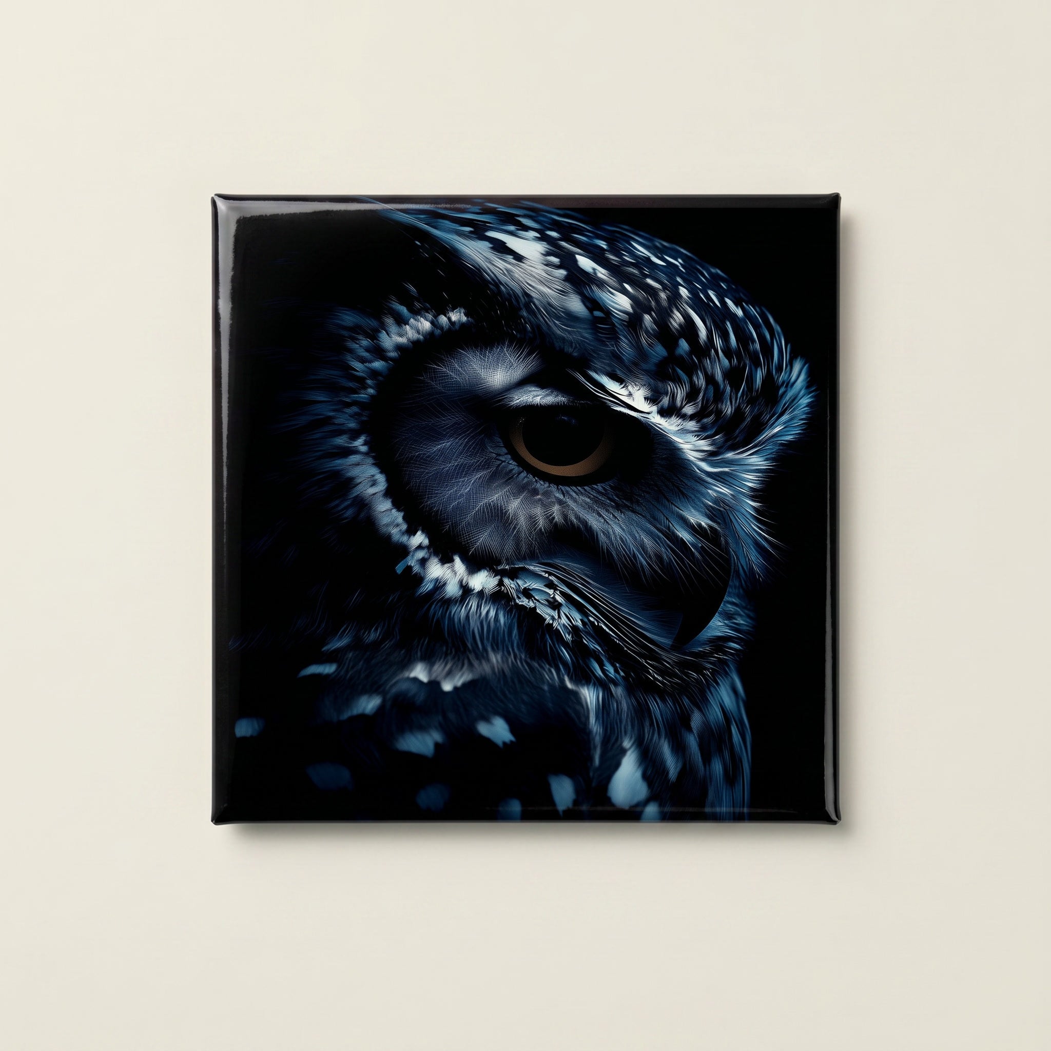 Elegant Black and White Owl Magnets
