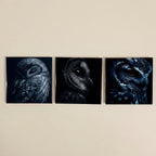 Elegant Black and White Owl Magnets