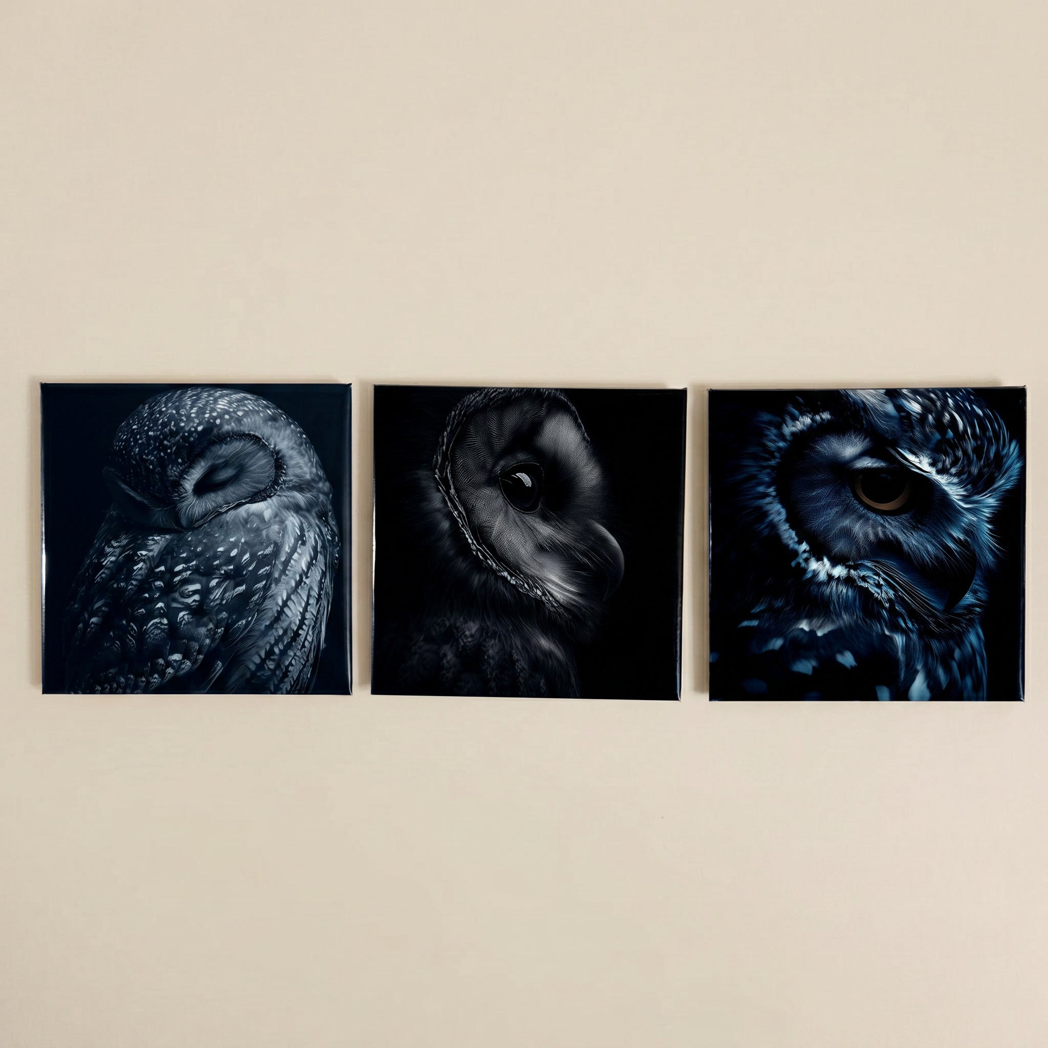 Elegant Black and White Owl Magnets