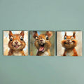 Funny Squirrel Magnets